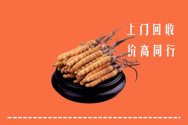 高价求购：嘉峪关市永昌县回收散虫草