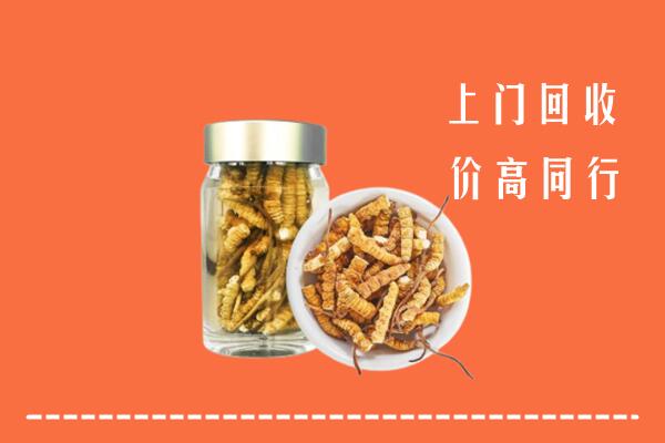嘉峪关市永昌县回收冬虫夏草