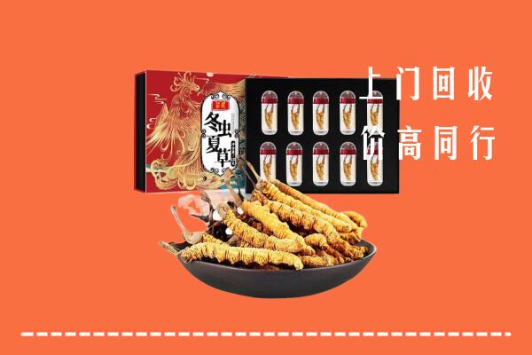 嘉峪关市永昌县回收虫草